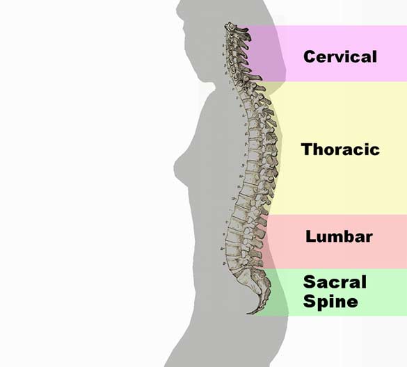 Back-Pain-Treatment-South-County-Spine-Care-Center
