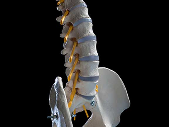 Manipulation Under Anesthesia - South County Spine Care